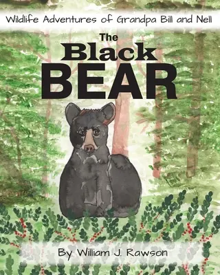 Niedźwiedź czarny - The Black Bear