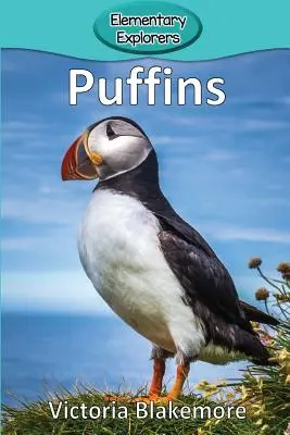 Maskonury - Puffins