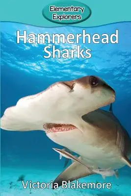 Rekiny młoty - Hammerhead Sharks