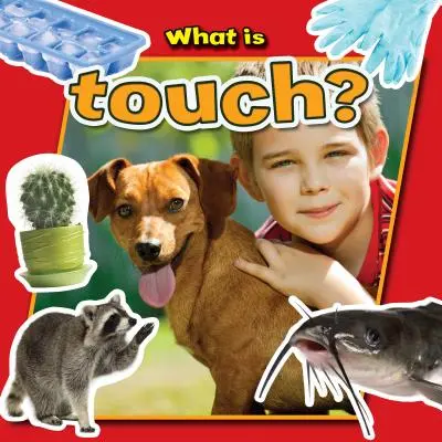 Czym jest dotyk? - What Is Touch?