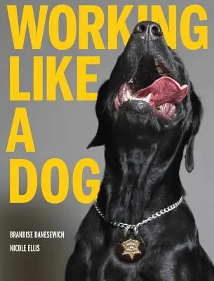 Pracując jak pies - Working Like A Dog
