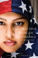 Praktyka islamu w Ameryce: Wprowadzenie - The Practice of Islam in America: An Introduction