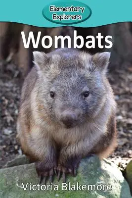 Wombaty - Wombats