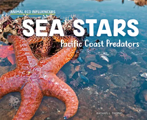 Gwiazdy morskie: Drapieżniki wybrzeża Pacyfiku - Sea Stars: Pacific Coast Predators