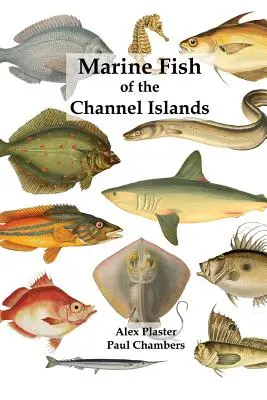 Ryby morskie Wysp Normandzkich - Marine Fish of the Channel Islands