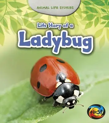 Historia życia biedronki - Life Story of a Ladybug