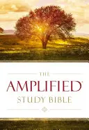 Amplified Study Bible, twarda oprawa - Amplified Study Bible, Hardcover