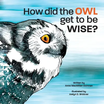 Jak sowa stała się mądra? - How Did the Owl Get to Be Wise