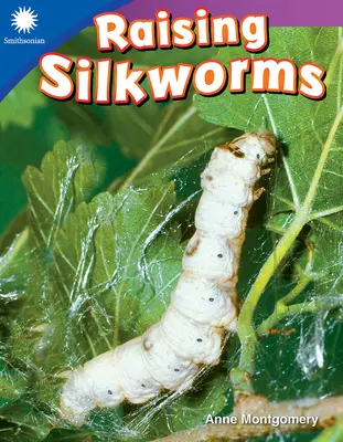 Hodowla jedwabników - Raising Silkworms