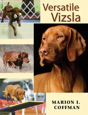 Wszechstronny Vizsla - Versatile Vizsla