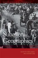Geografie subalternów - Subaltern Geographies