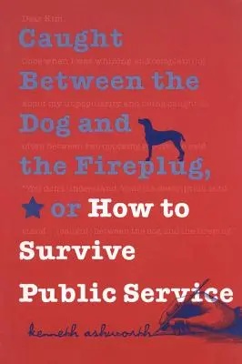 Między psem a wtyczką, czyli jak przetrwać w służbie publicznej - Caught Between the Dog and the Fireplug, or How to Survive Public Service