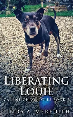 Liberating Louie: Droga do Rutland - Liberating Louie: The Road To Rutland