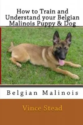 Jak wytresować i zrozumieć szczeniaka lub psa rasy belgijski malinois? - How to Train and Understand Your Belgian Malinois Puppy & Dog