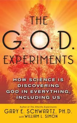 The G.O.D. Experiments: Jak nauka odkrywa Boga we wszystkim, łącznie z nami - The G.O.D. Experiments: How Science Is Discovering God in Everything, Including Us