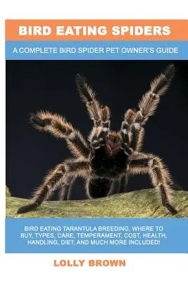 Ptakożerne pająki: Tarantula ptasznikowata: hodowla, gdzie kupić, rodzaje, pielęgnacja, temperament, koszty, zdrowie, obsługa, dieta i wiele więcej w - Bird Eating Spiders: Bird Eating Tarantula breeding, where to buy, types, care, temperament, cost, health, handling, diet, and much more in