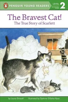 Najdzielniejszy kot! - The Bravest Cat!