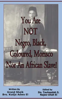 Nie jesteś Murzynem, Czarnym, Kolorowym, Moryskiem ani afrykańskim niewolnikiem! - You Are NOT Negro, Black, Coloured, Morisco Nor An African Slave!