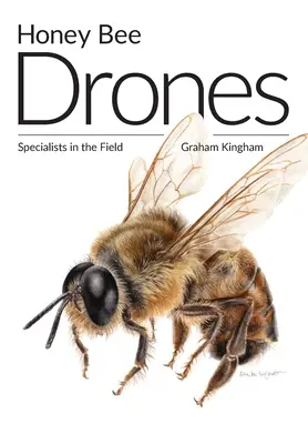 Drony pszczół miodnych: Specjaliści w terenie - Honey Bee Drones: Specialists in the Field