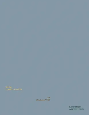 Leonor Antunes: Ostatnie dni w Galliate - Leonor Antunes: The Last Days in Galliate