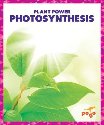 Fotosynteza - Photosynthesis