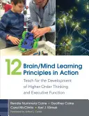 12 zasad uczenia się mózgu/umysłu w działaniu: Nauczanie dla rozwoju myślenia wyższego rzędu i funkcji wykonawczych - 12 Brain/Mind Learning Principles in Action: Teach for the Development of Higher-Order Thinking and Executive Function