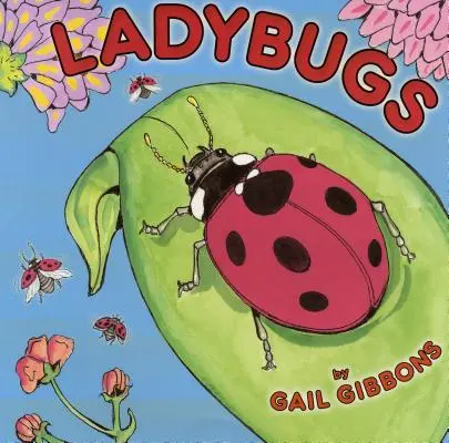 Biedronki - Ladybugs