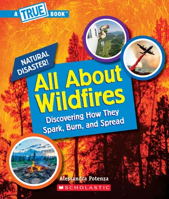 Wszystko o pożarach (prawdziwa książka: klęski żywiołowe) - All about Wildfires (a True Book: Natural Disasters)