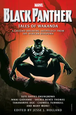 Czarna Pantera: Opowieści z Wakandy - Black Panther: Tales of Wakanda