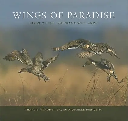 Skrzydła raju: Ptaki mokradeł Luizjany - Wings of Paradise: Birds of the Louisiana Wetlands