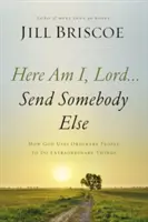 Oto jestem, Panie... Przyślij kogoś innego: Jak Bóg wykorzystuje zwykłych ludzi do robienia niezwykłych rzeczy - Here Am I, Lord...Send Somebody Else: How God Uses Ordinary People to Do Extraordinary Things