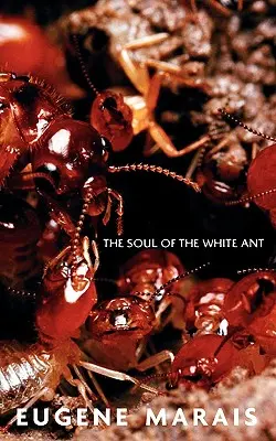 Dusza białej mrówki - The Soul of the White Ant