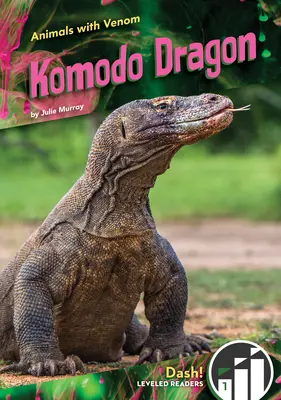 Smok z Komodo - Komodo Dragon