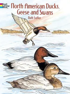 Kolorowanka kaczki, gęsi i łabędzie Ameryki Północnej - North American Ducks, Geese and Swans Coloring Book