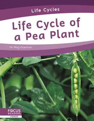 Cykl życia rośliny grochu - Life Cycle of a Pea Plant