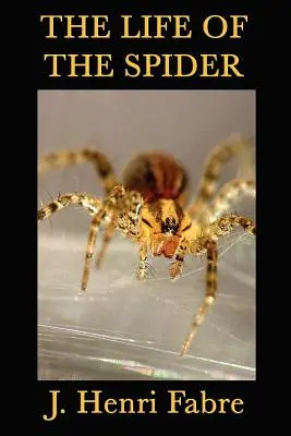 Życie pająka - The Life of the Spider