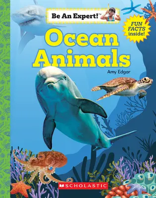 Zwierzęta oceanów (Zostań ekspertem!) (Paperback) - Ocean Animals (Be an Expert!) (Paperback)