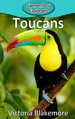 Tukany - Toucans
