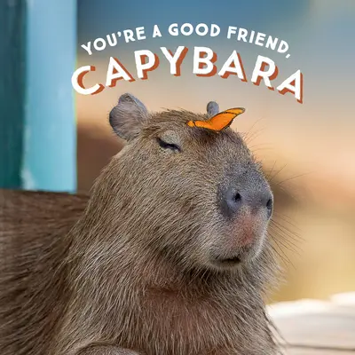 Jesteś dobrym przyjacielem, kapibaro - You're a Good Friend, Capybara