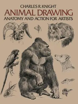 Rysowanie zwierząt: Anatomia i działanie dla artystów - Animal Drawing: Anatomy and Action for Artists