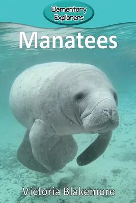 Manaty - Manatees