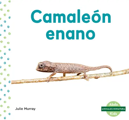 Camalen Enano (kameleon liściasty) - Camalen Enano (Leaf Chameleon)