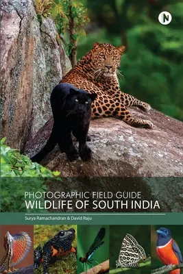 Fotograficzny przewodnik terenowy - dzika przyroda południowych Indii - Photographic Field Guide - Wildlife of South India