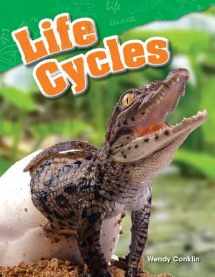 Cykle życia - Life Cycles