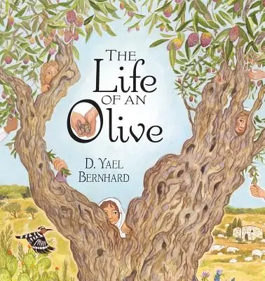 Życie oliwki - The Life of an Olive