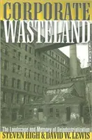 Korporacyjne pustkowia: Krajobraz i pamięć dezindustrializacji - Corporate Wasteland: The Landscape and Memory of Deindustrialization