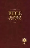 Biblijne obietnice, według których warto żyć - Bible Promises to Live by