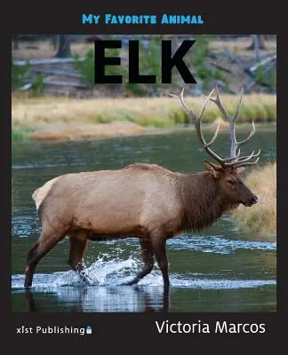 Moje ulubione zwierzę: Łoś - My Favorite Animal: Elk