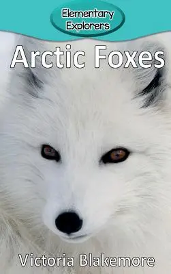 Lisy polarne - Arctic Foxes