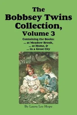 Kolekcja Bliźniaków Bobbsey, tom 3: W Meadow Brook; W domu; W wielkim mieście - The Bobbsey Twins Collection, Volume 3: At Meadow Brook; At Home; In a Great City